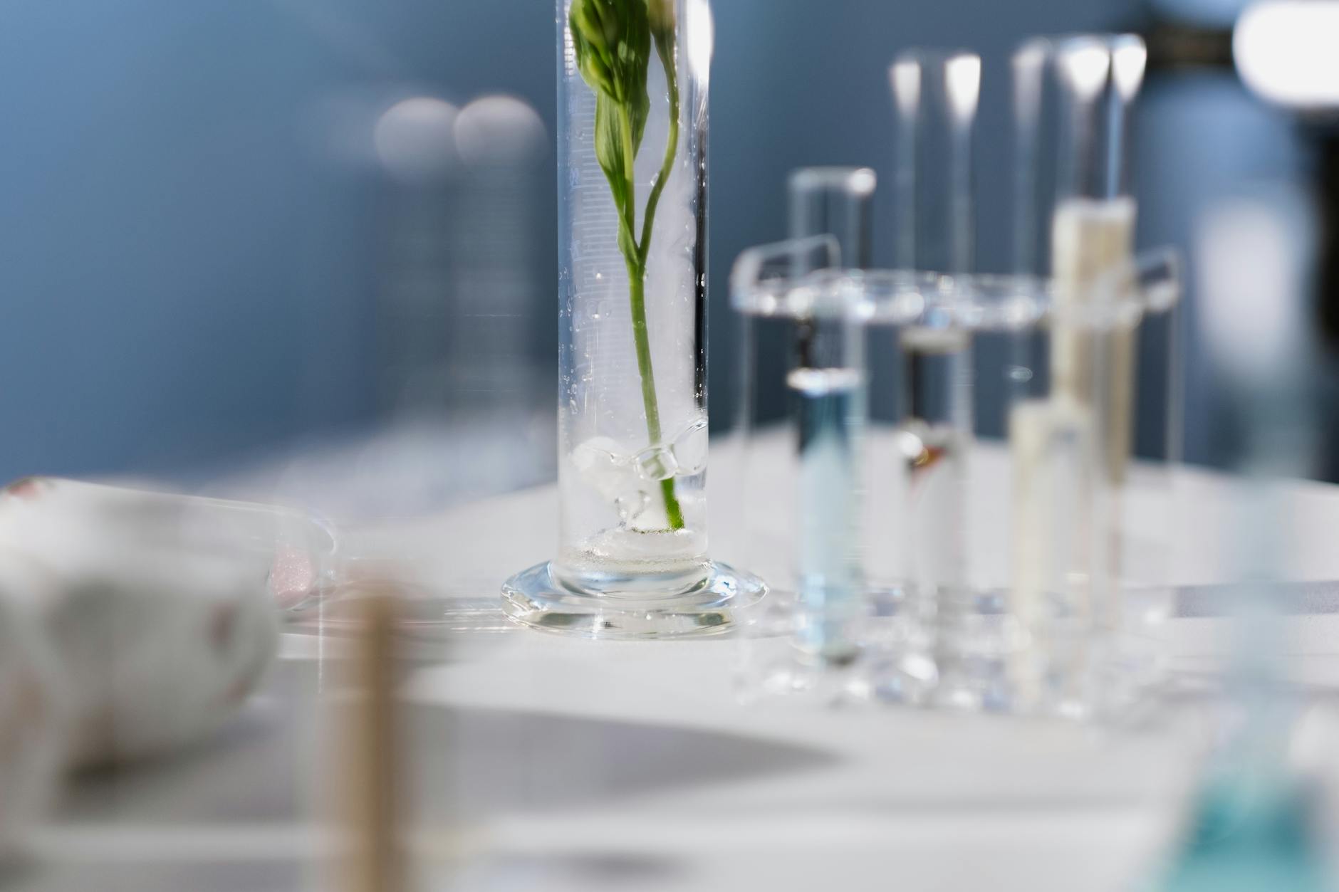 A detailed shot of test tubes and a plant stem in a lab environment, highlighting scientific research.