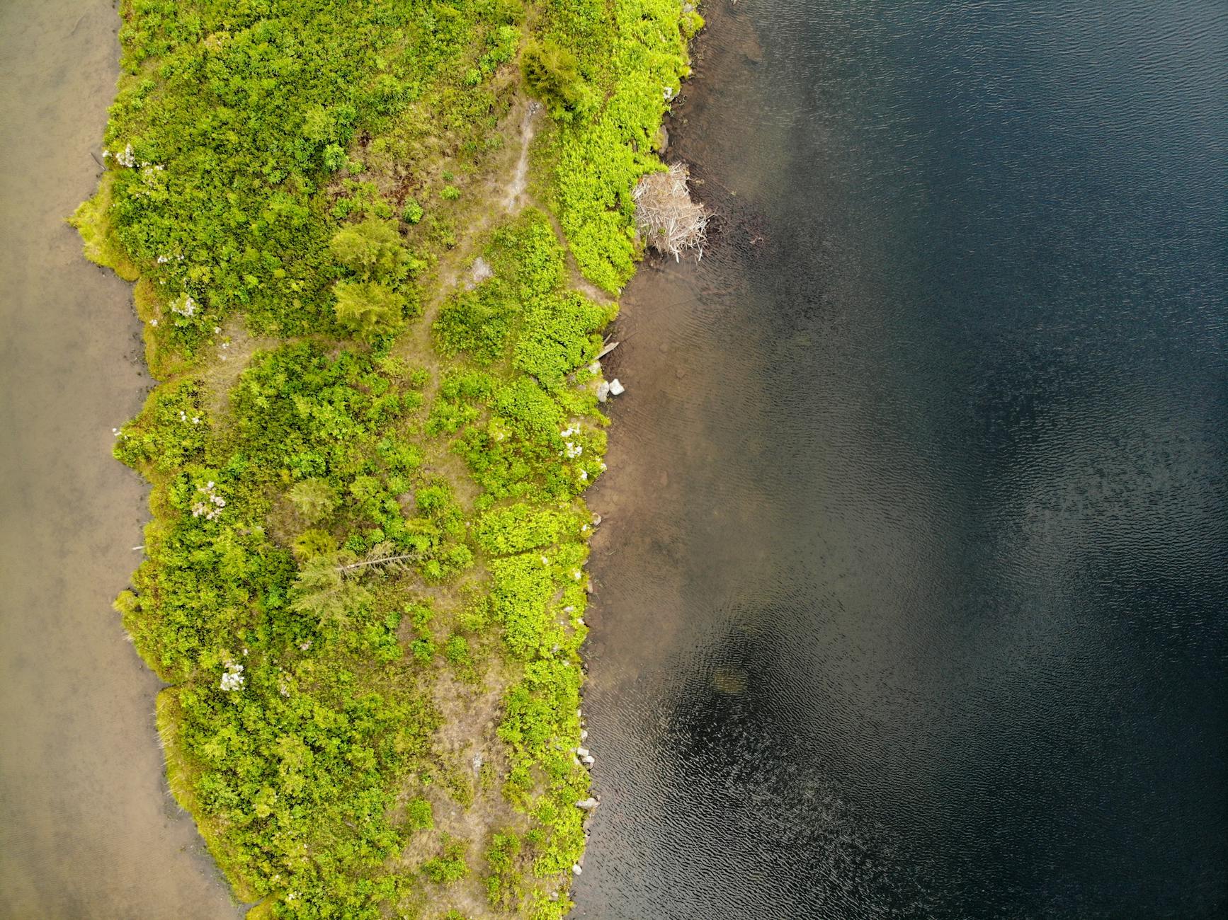 Image related to gov mikie sherrill tops njbiz power 100 list despite publications policy against