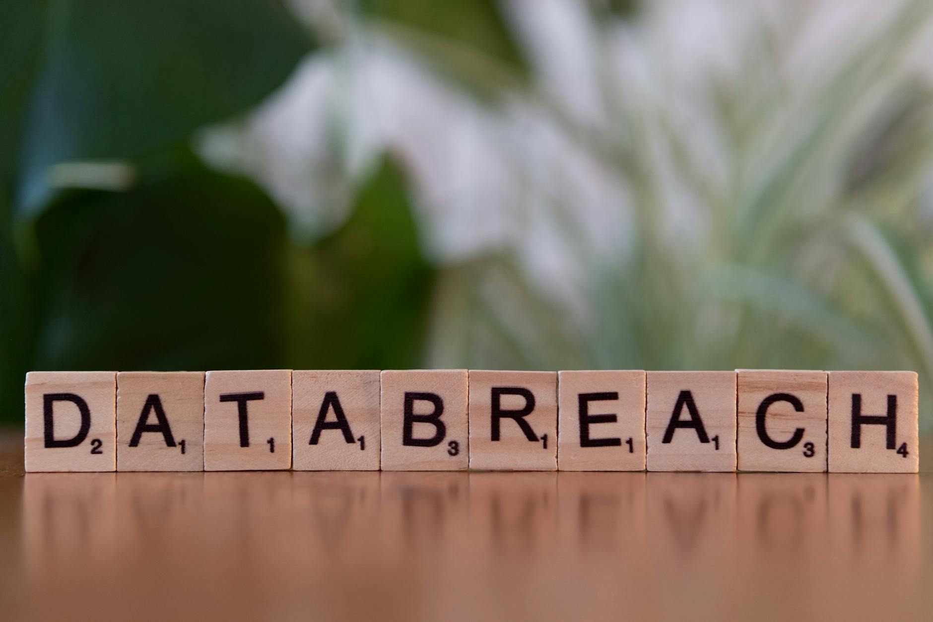 Close-up of Scrabble tiles spelling 'data breach' on a blurred background